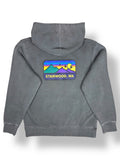 Youth Hoodie- Charcoal Gray